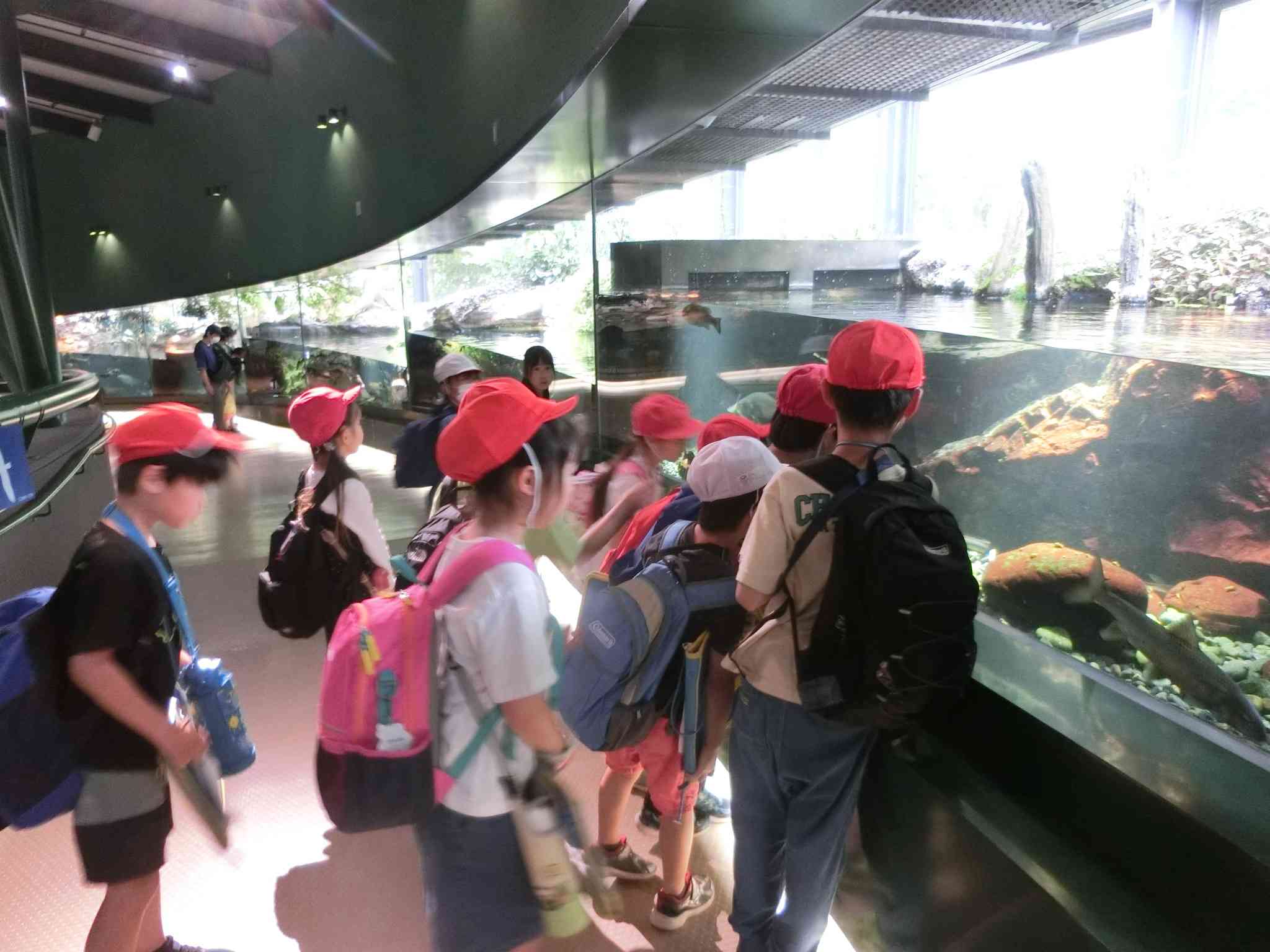 CIMG0696