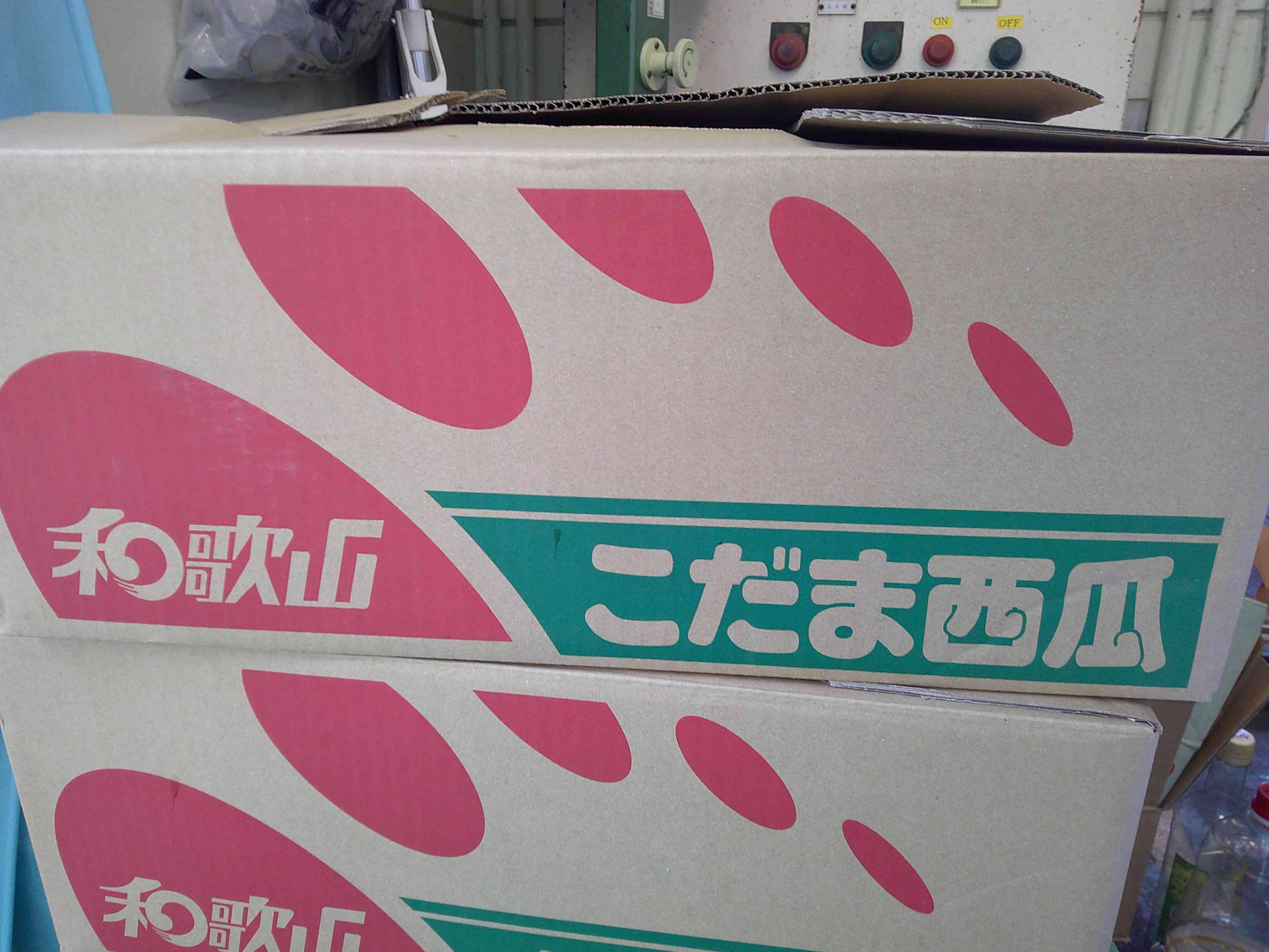 DSCF0633